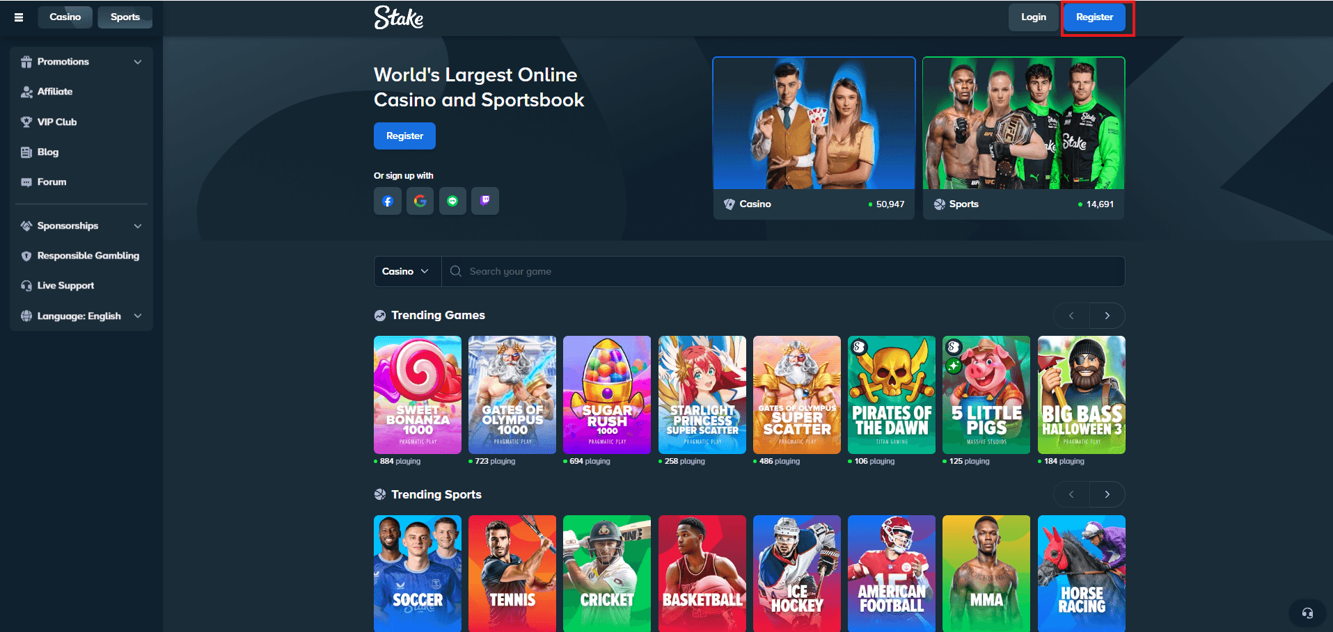 Stake registration step 1 – account details form